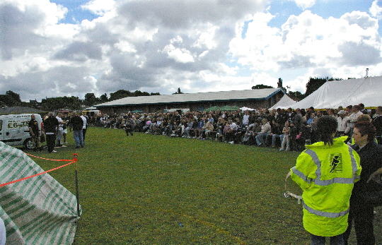2006-pic12